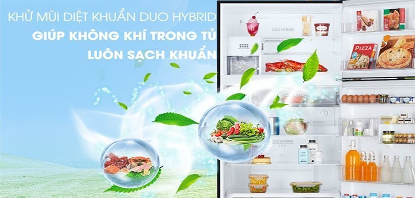 tu-lanh-inverter-toshiba-gr-ag58va-gg-5 Công nghệ khử mùi diệt khuẩn của tủ lạnh Inverter Toshiba GR-AG58VA-GG