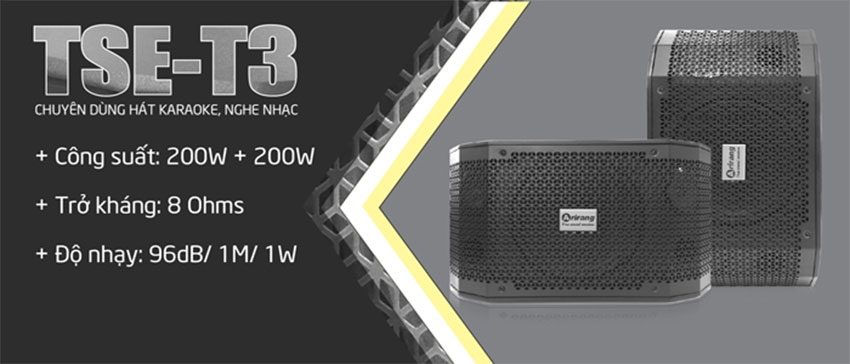 loa-karaoke-arirang-tse-t3-2-2 Chi tiết của loa karaoke Arirang TSE-T3