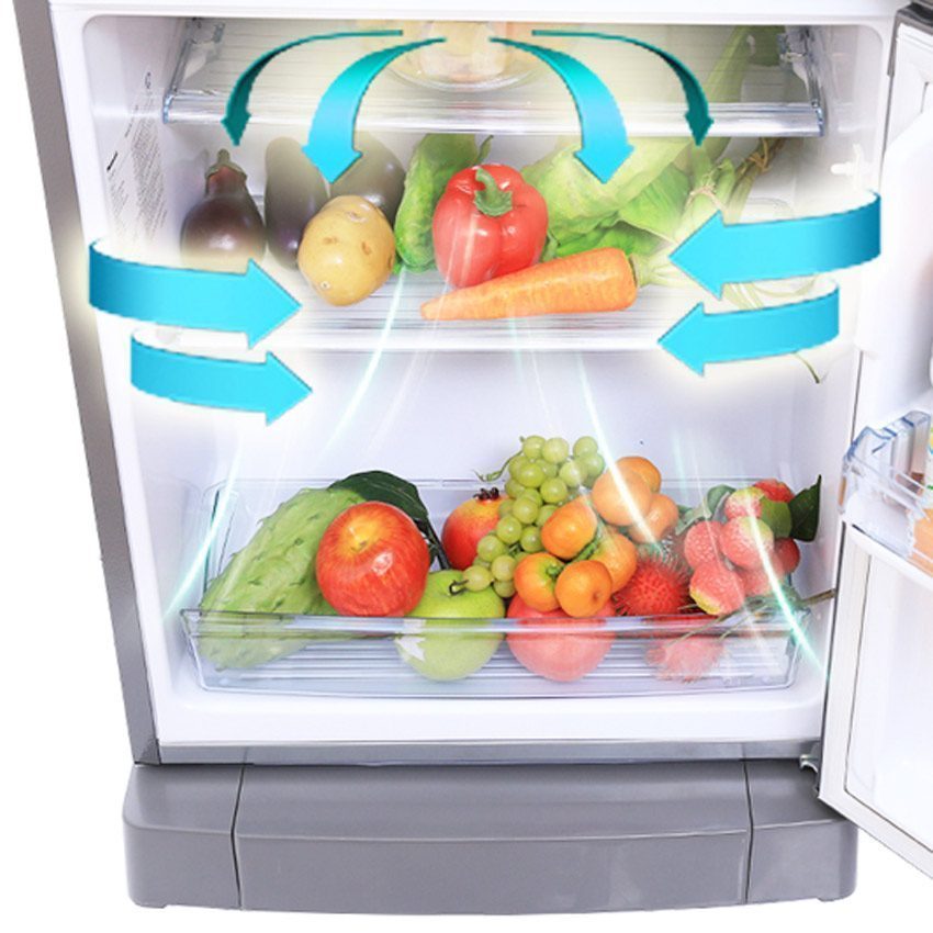 tu-lanh-panasonic-nr-bl268psvn-4 Công dụng của tủ lạnh Panasonic NR-BL268PSVN